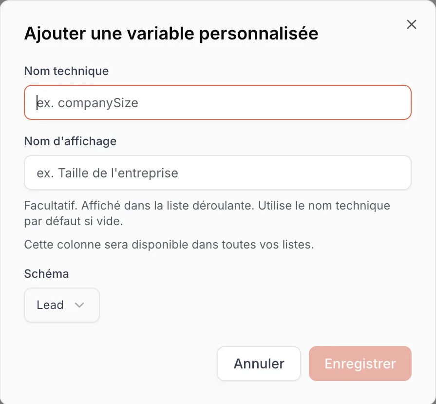 Add Custom Variable window with the technical name, display name and schema