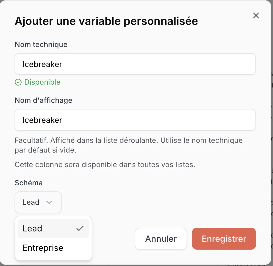 Technical name checked as available and choice of schema between Lead and Company