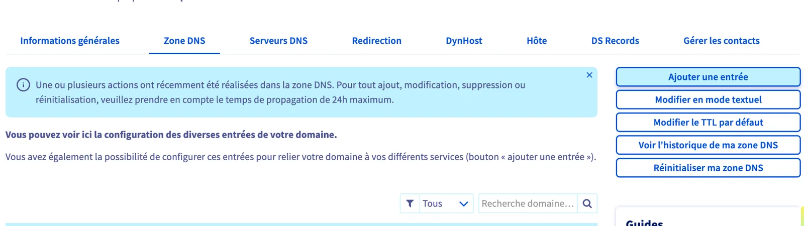 Onglet Zone DNS d'un domaine avec le bouton Ajouter une entrée