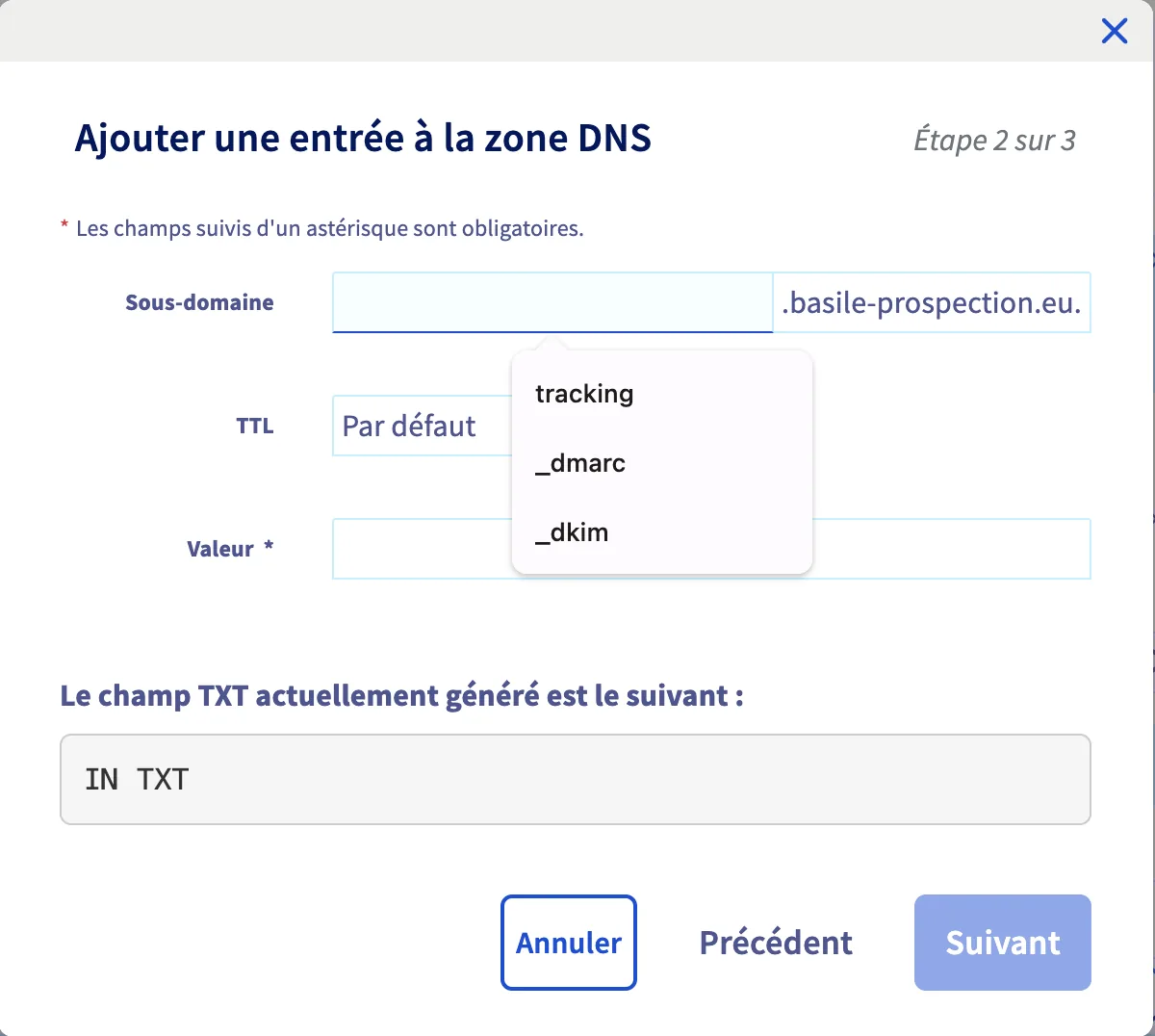 Formulaire d'ajout d'un champ TXT avec le sous-domaine