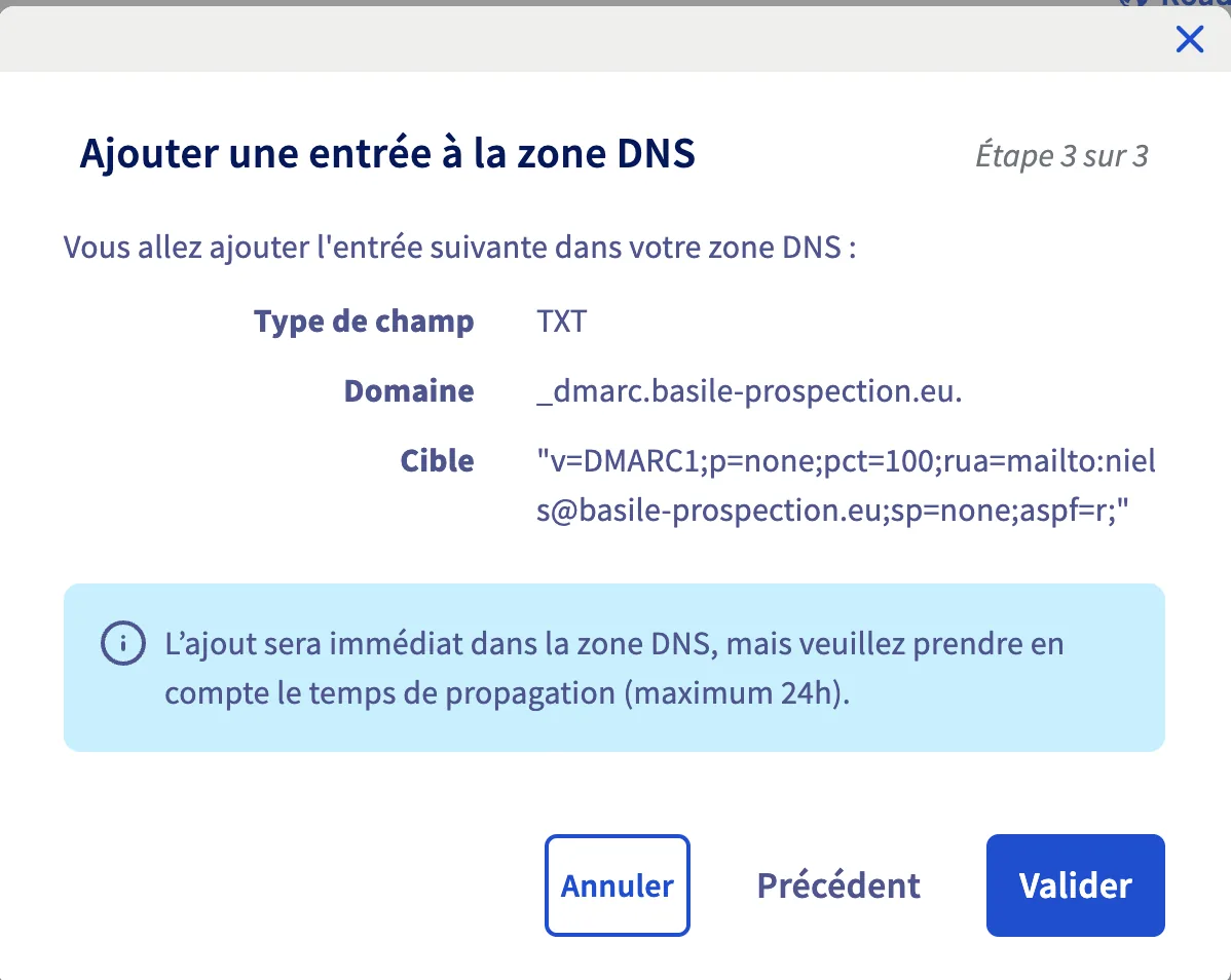 Écran de validation de l'entrée DMARC dans la zone DNS OVH