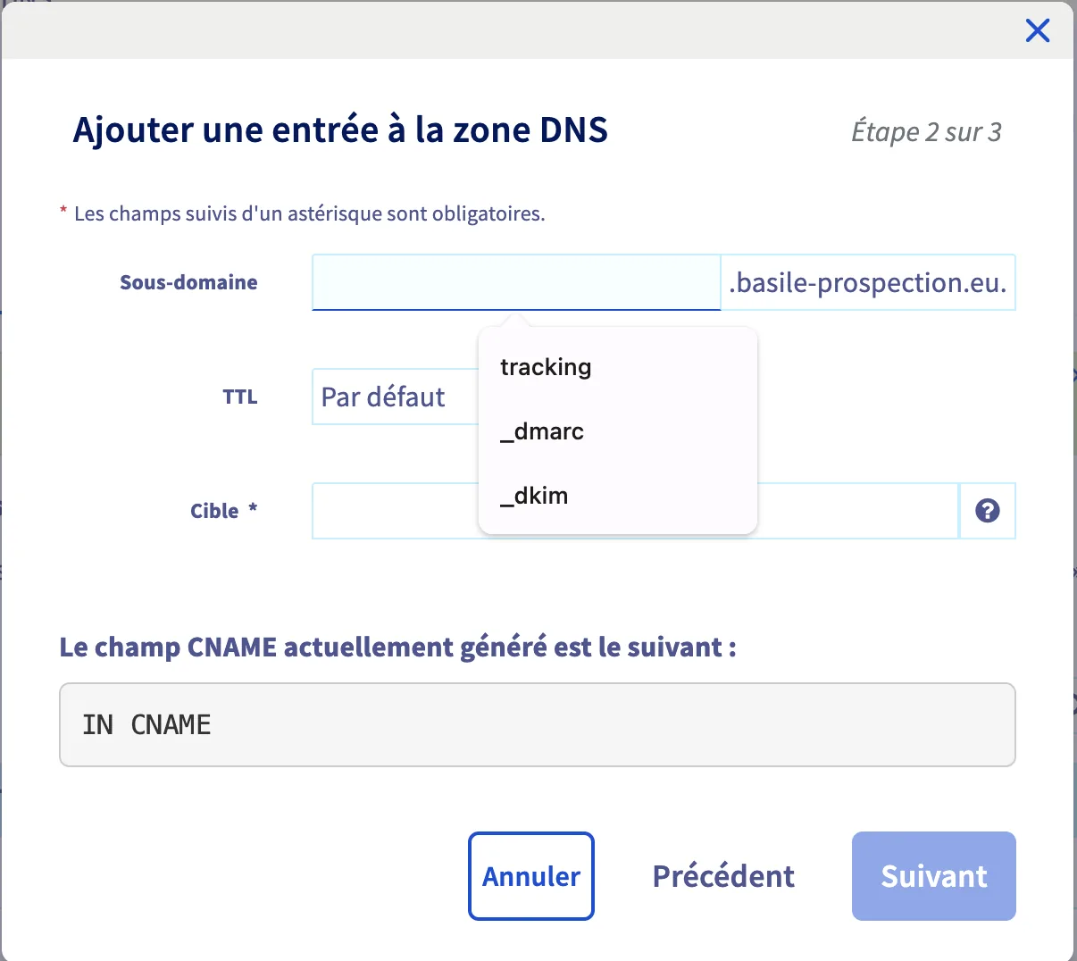 Champ sous-domaine d'un enregistrement CNAME dans la zone DNS OVH