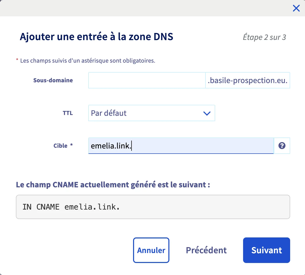 Champ cible rempli avec emelia.link dans la zone DNS OVH